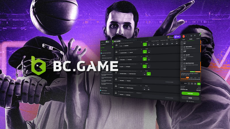 Understanding BC Game Trusted Payments for Seamless Transactions